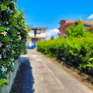 Green Home * Rome