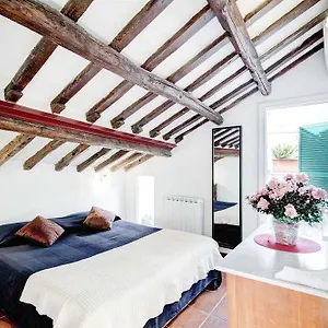 Terrace Cancelleria 3*